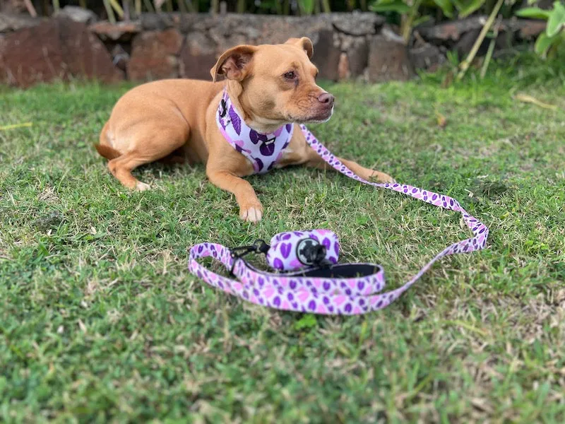 Eha Pets: Signature Green Kalo Leash