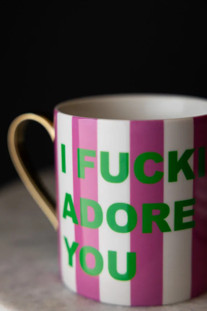 I Fucking Adore You Stripe Mug